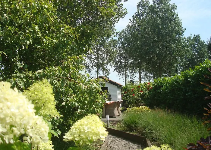 Patrijzenhoek 4* Knokke-Heist