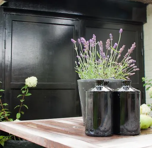 Patrijzenhoek Oda ve Kahvaltı Knokke-Heist